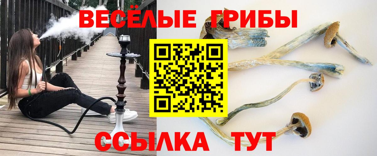 Светлоград  Галлюциногенные грибы Psilocybe  Вход с VPN 